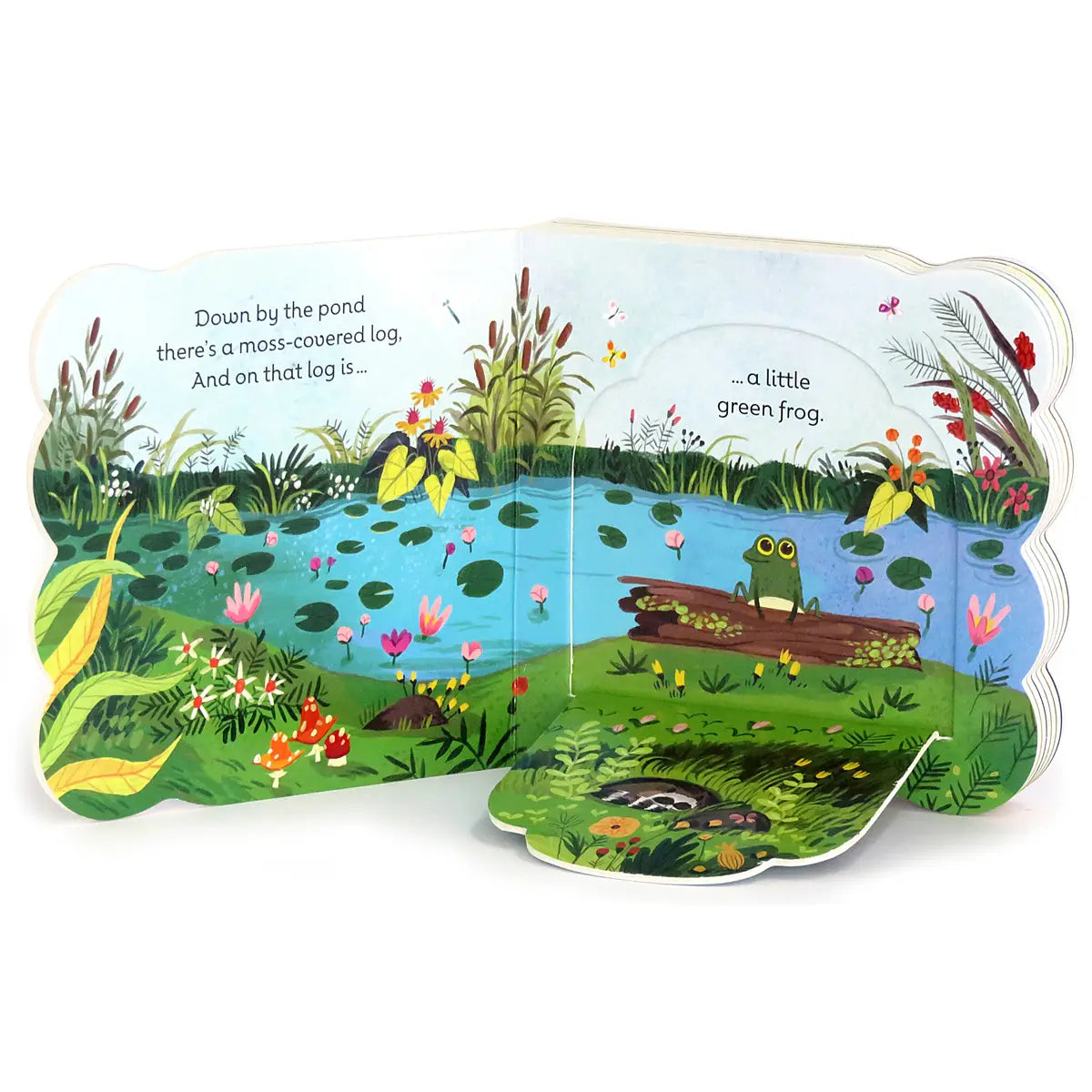 Little Green Frog Lift-A-Flap Board Book