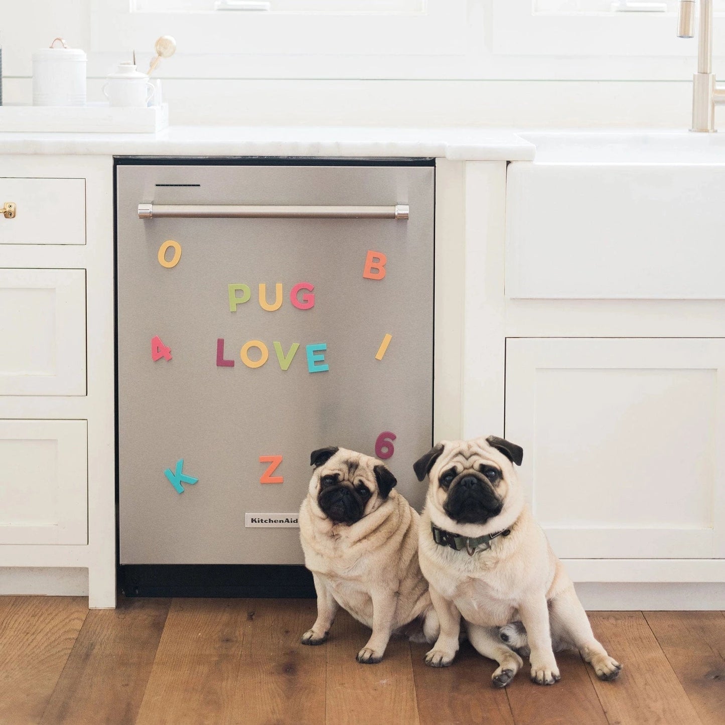 2" 36pc Rainbow Pop Magnetic Letters The Type Set Co. Lil Tulips