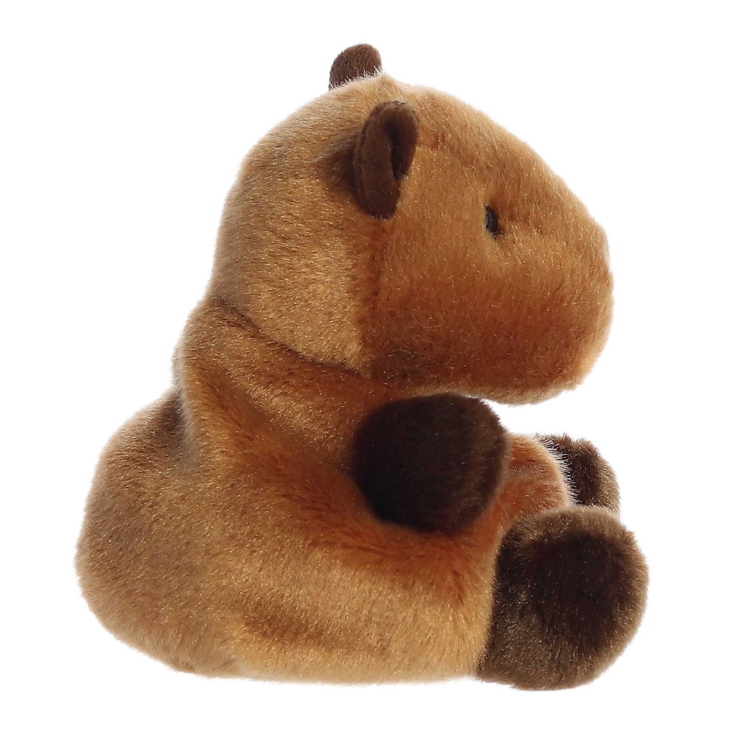 Palm Pals™ - 5" Sid Capybara™