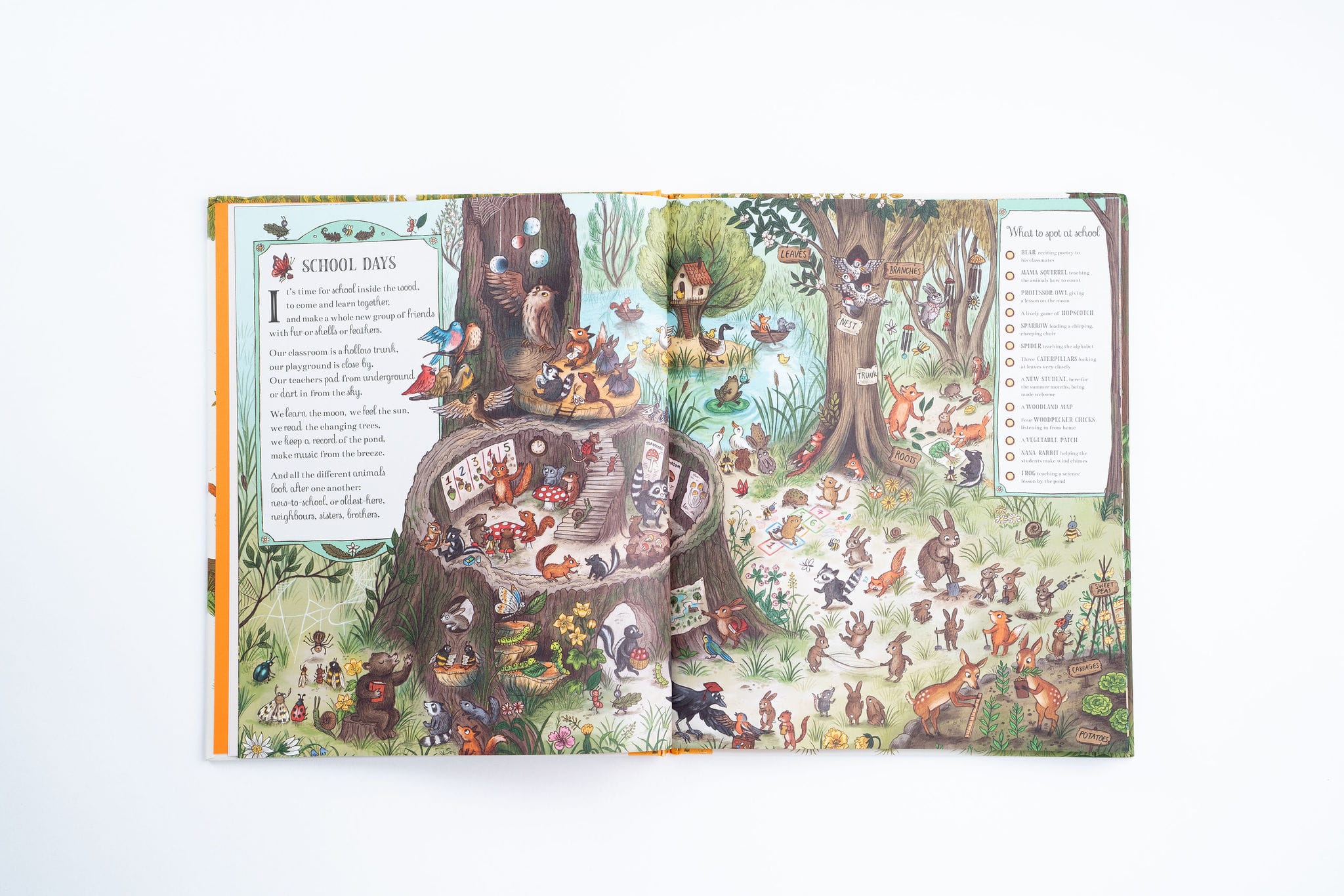 If You Go Down To the Woods Today: A Search and Find Book