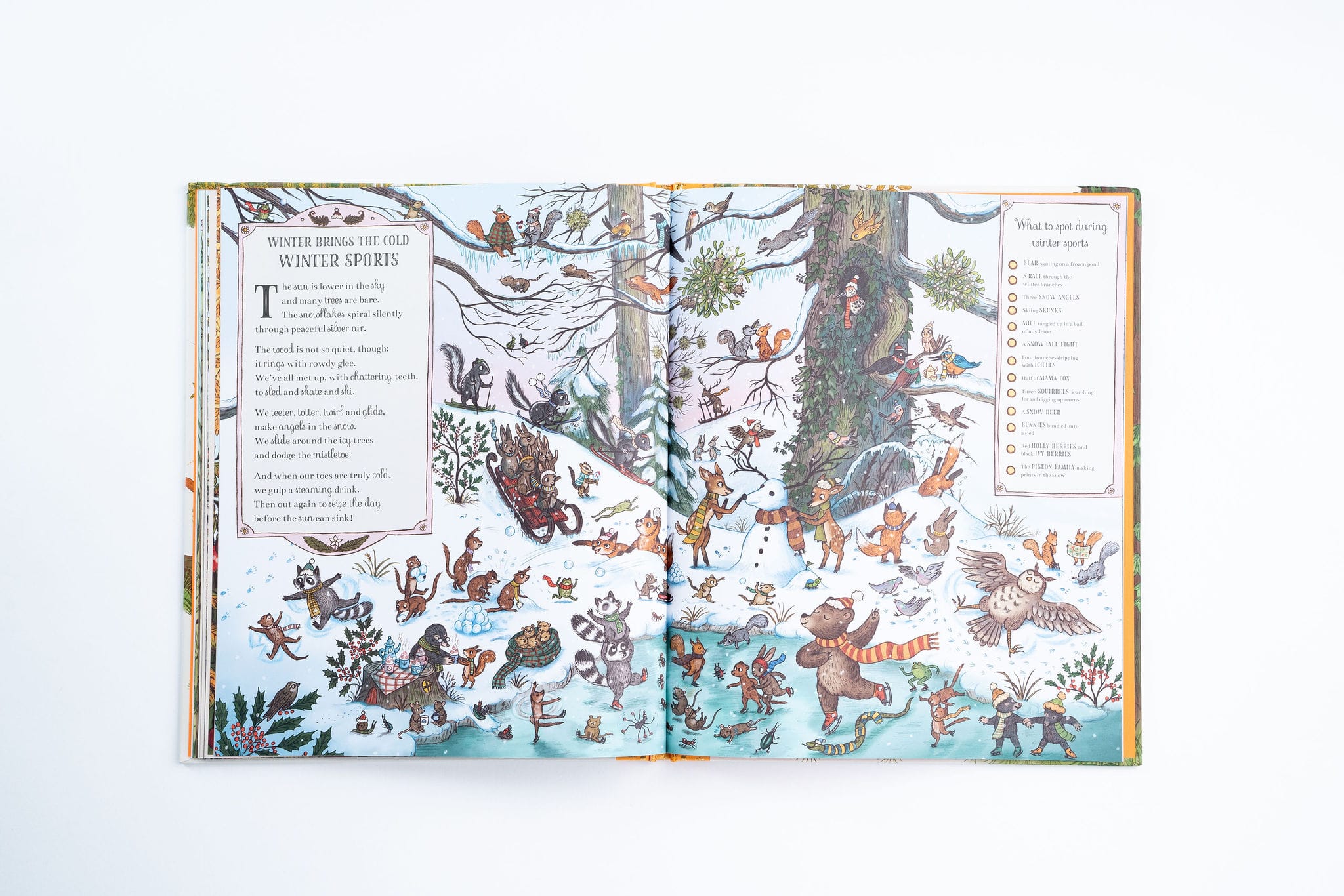 If You Go Down To the Woods Today: A Search and Find Book