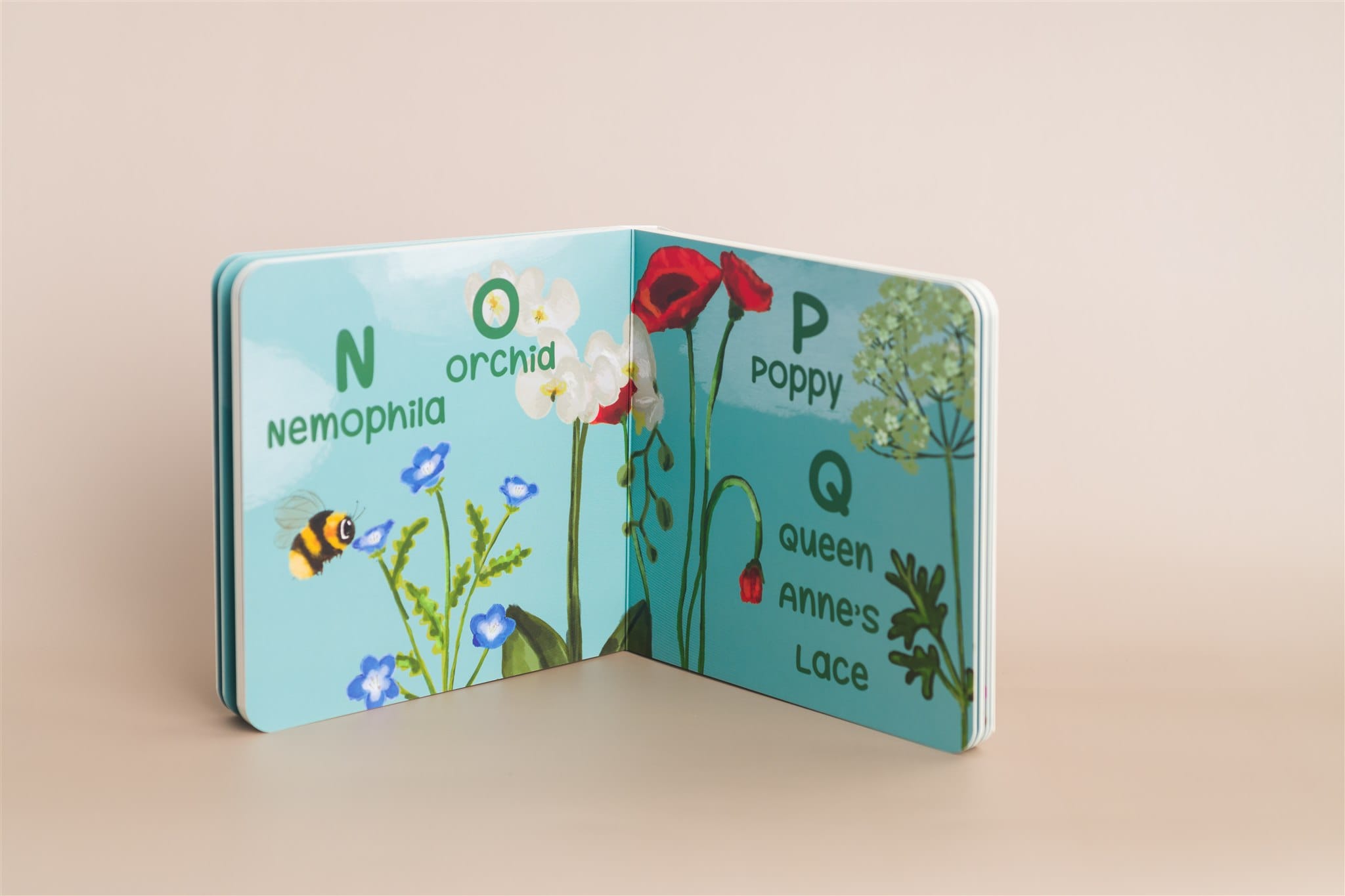 A Bee Sees the Abc's Baby Board Book Bowzey Lil Tulips