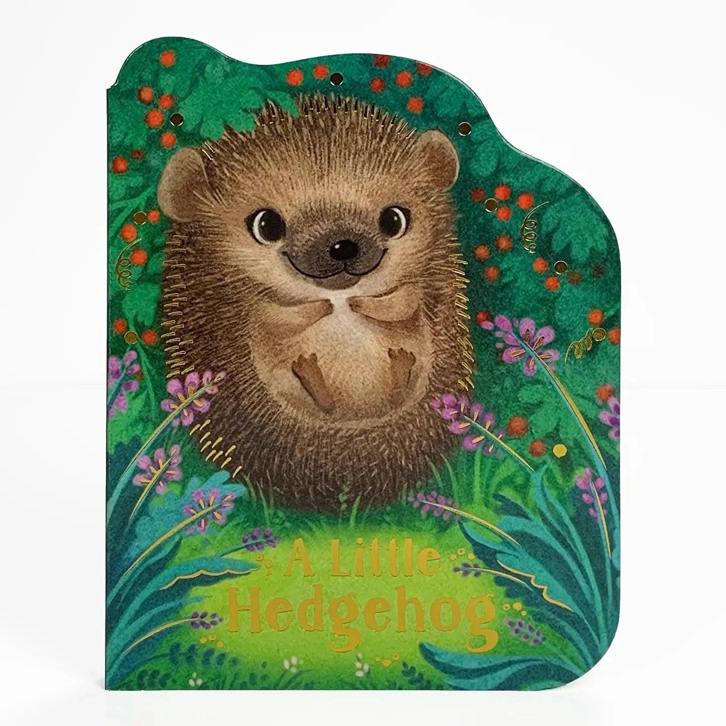 A Little Hedgehog Shaped Board Book Cottage Door Press Books Lil Tulips