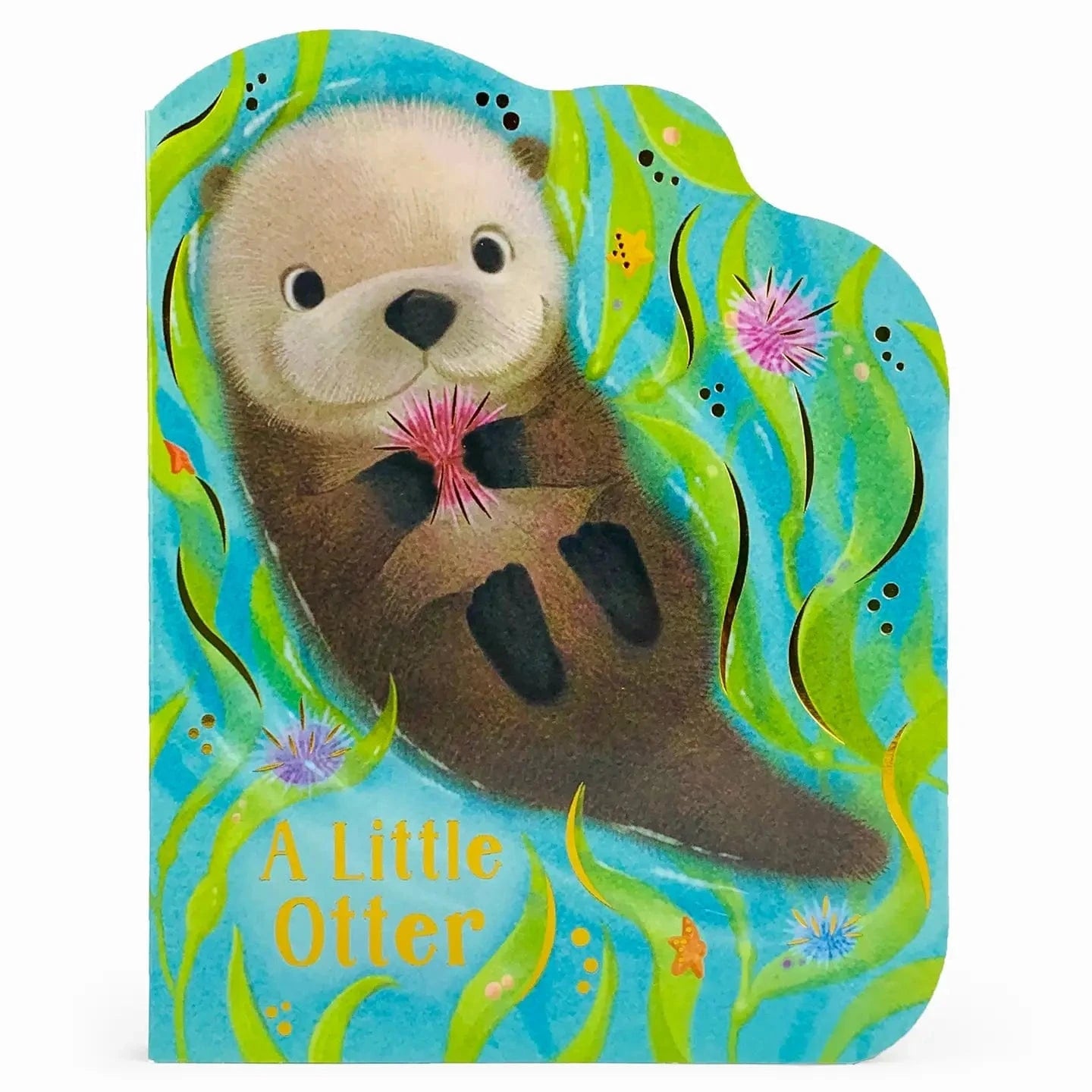 A Little Otter Shaped Board Book Cottage Door Press Books Lil Tulips