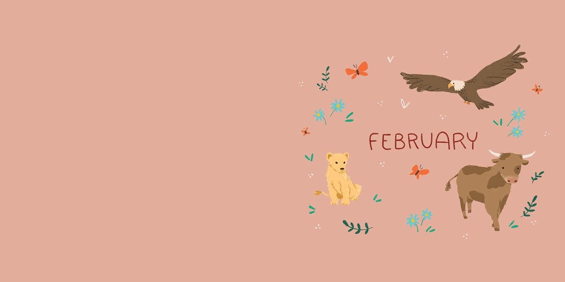 A Year of Bible Animal STORIES Barbour Publishing Lil Tulips