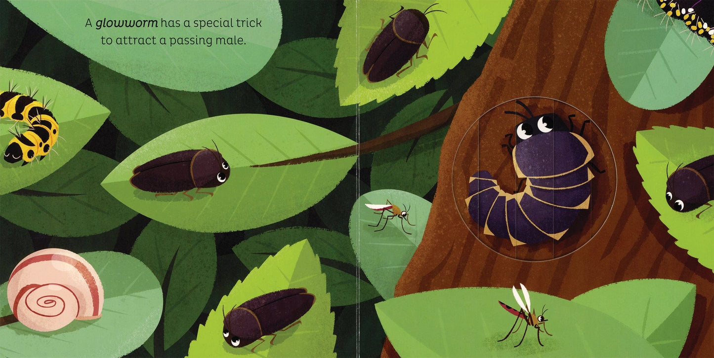 Animal Magic: in the Night EDC Publishing Lil Tulips