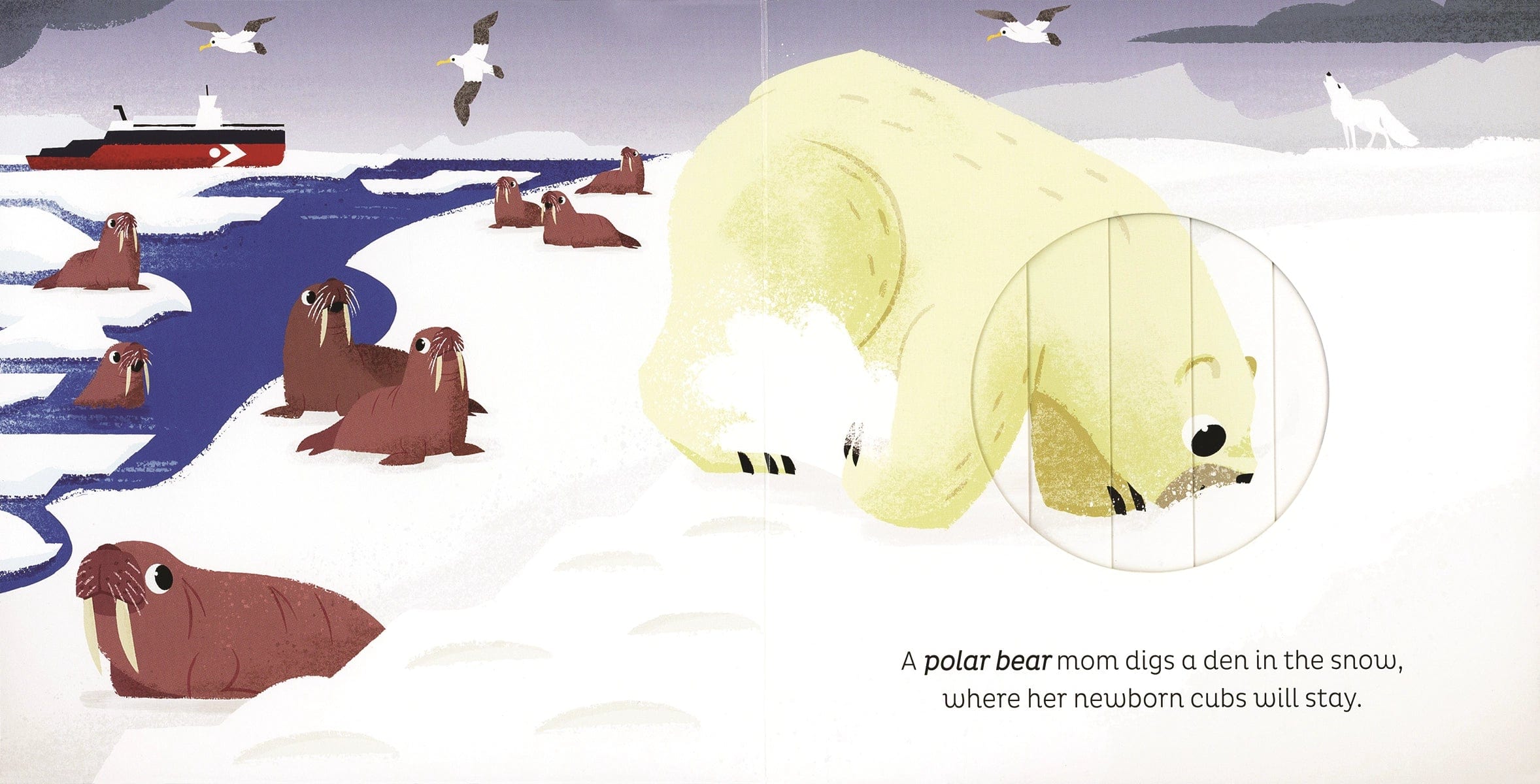 Animal Magic: in the Snow EDC Publishing Lil Tulips
