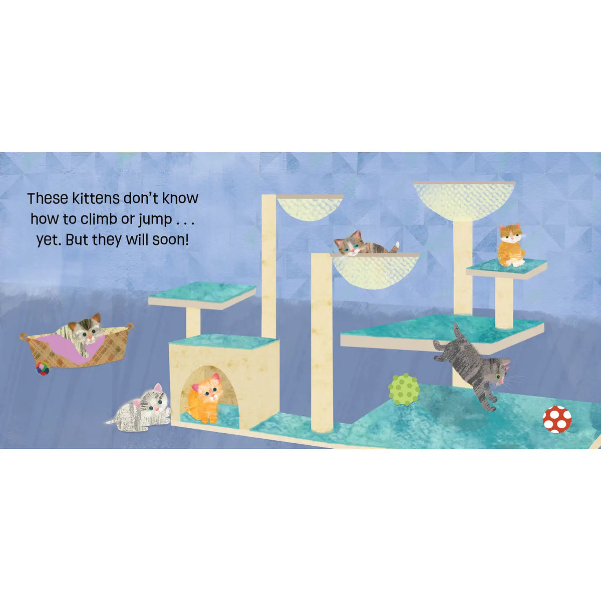 Baby Animals: Kittens Know & Grow Board Book Barefoot Books Lil Tulips