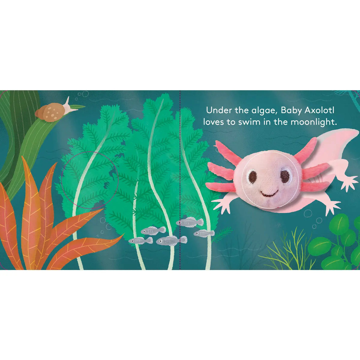 Baby Axolotl Finger Puppet Book Chronicle Books Lil Tulips
