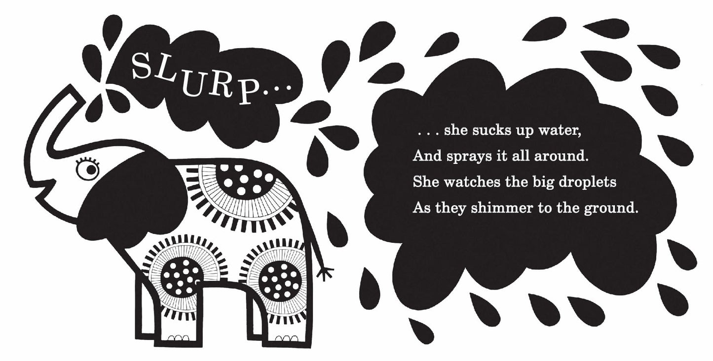 Baby’s First Stories 0-3 Months EDC Publishing Lil Tulips