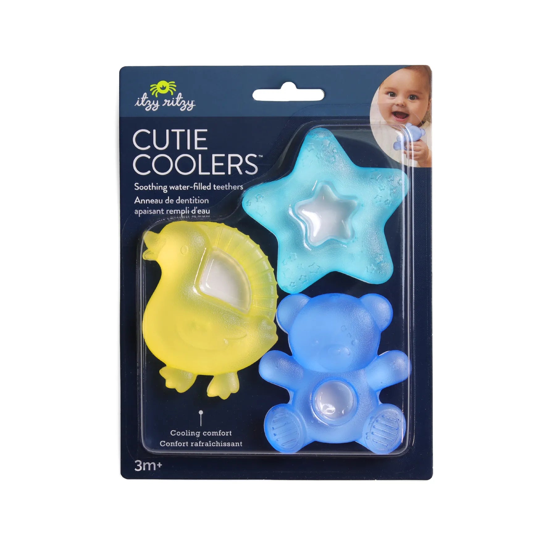 Bear Cutie Coolers™ Itzy Ritzy Lil Tulips