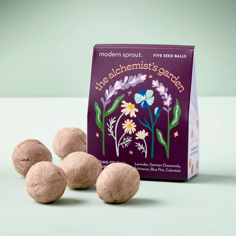 Bespoke Blooms - The Alchemist's Garden Modern Sprout Lil Tulips