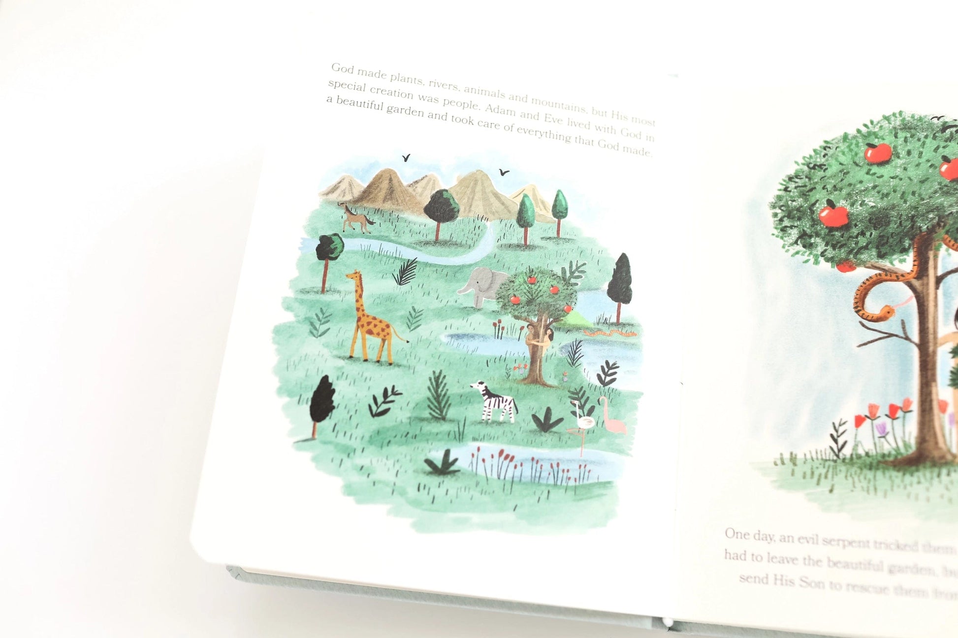 Bible Stories for Little Ones: Baby's First Bible Paper Peony Press Lil Tulips