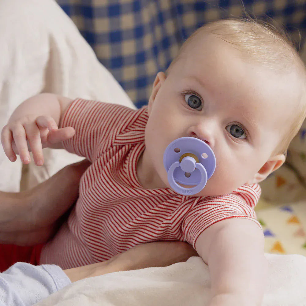 BiBS Pacifier 2 Pack - Hush/Grape Bibs Pacifier Lil Tulips