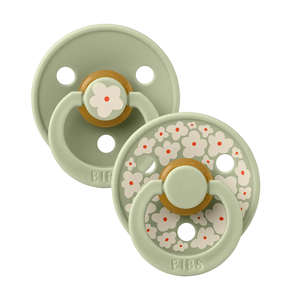 BiBS Pacifier Studio Colour 2 Pack Jasmine - Sage Mix Bibs Pacifier Lil Tulips