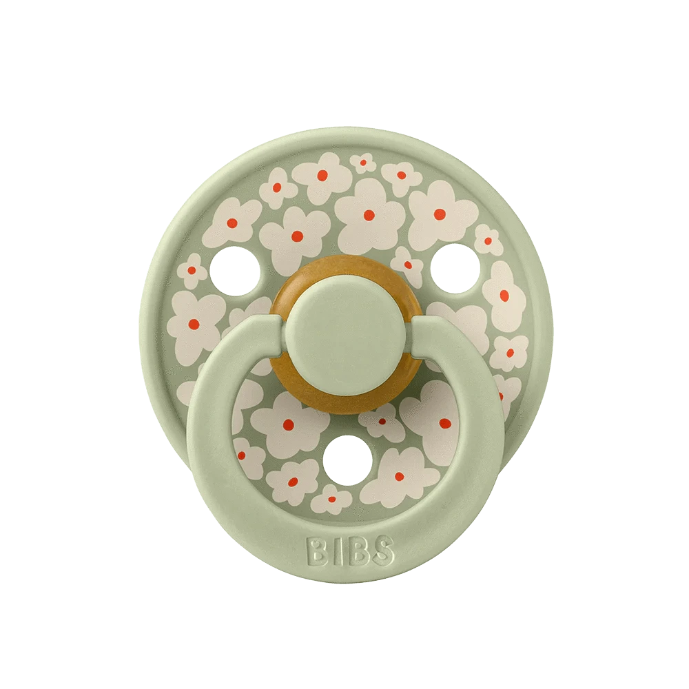 BiBS Pacifier Studio Colour 2 Pack Jasmine - Sage Mix Bibs Pacifier Lil Tulips