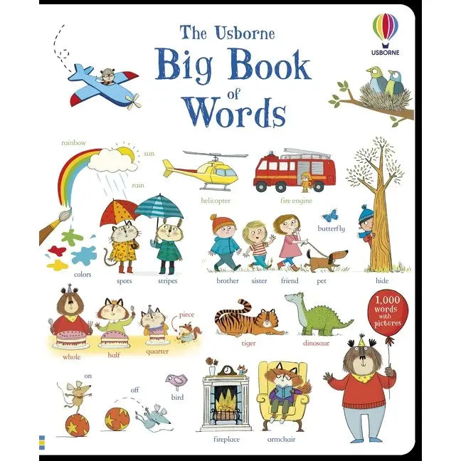 Big Book of Words Harper Collins Childrens Lil Tulips
