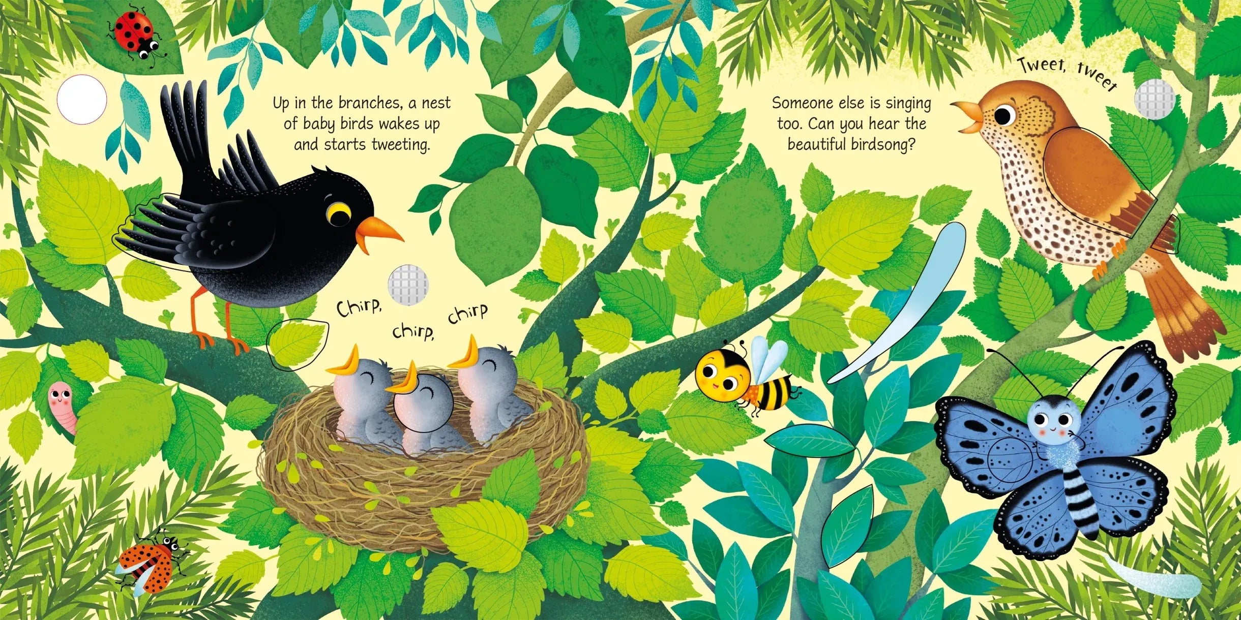 Bird Sounds Harper Collins Childrens Lil Tulips