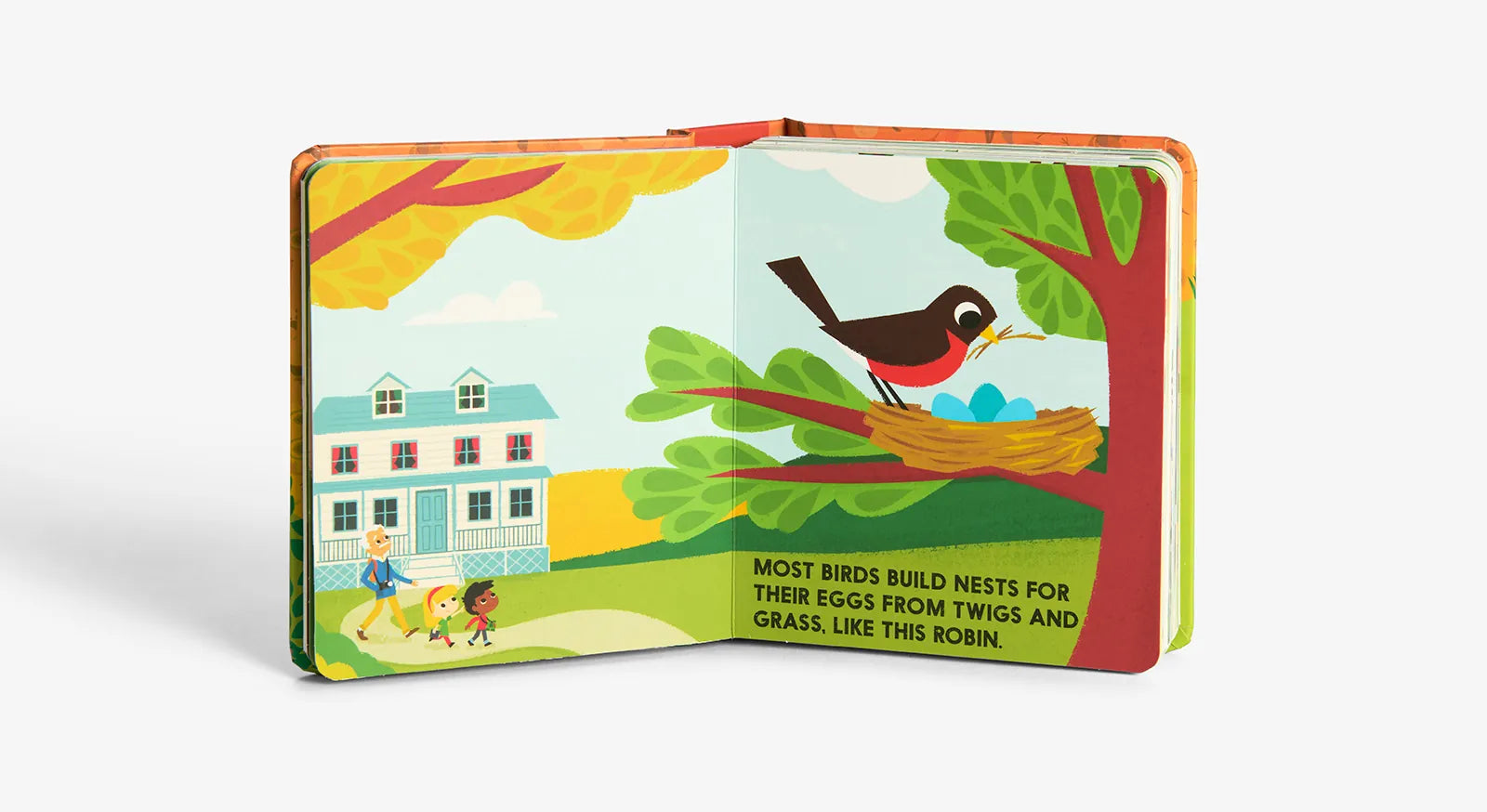 Birdblock (An Abrams Block Book) Abrams Lil Tulips