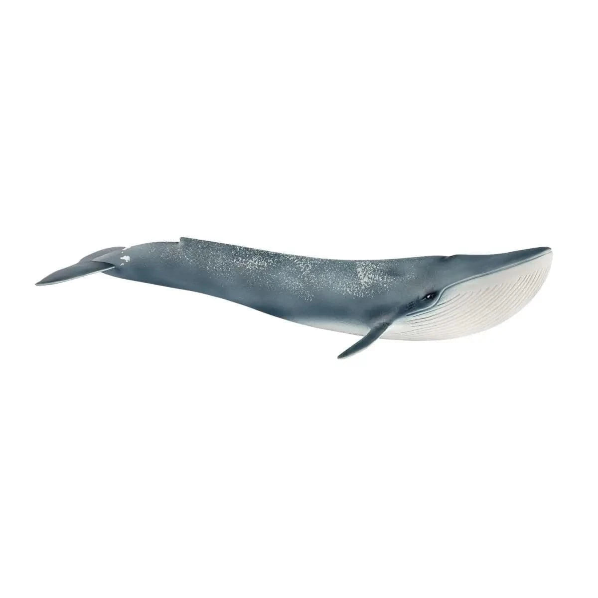 Blue Whale Ocean Animal Toy Schleich Lil Tulips