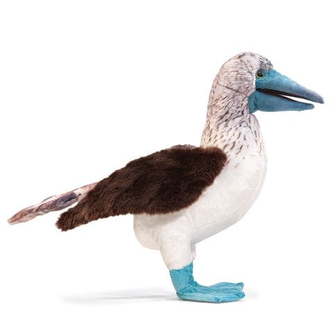 Booby, Blue-Footed Hand Puppet Folkmanis Puppets Folkmanis Puppets Lil Tulips