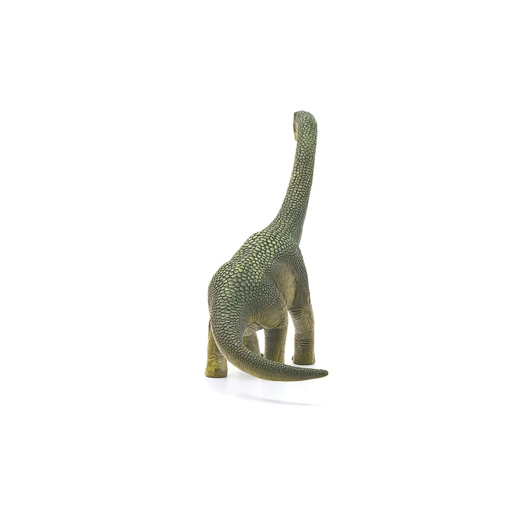 Brachiosaurus Realistic Dinosaur Toy Schleich Lil Tulips