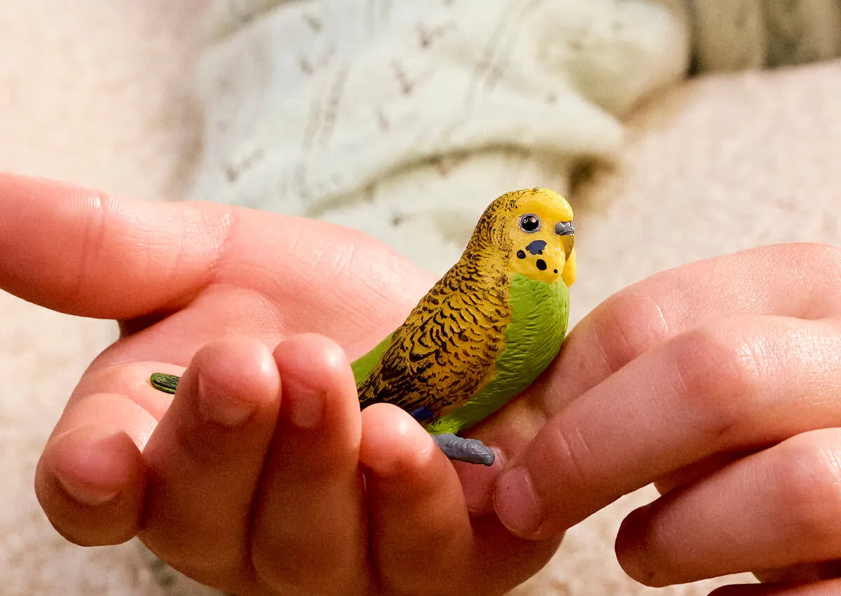 Budgie Animal Toy Figurine Schleich Lil Tulips