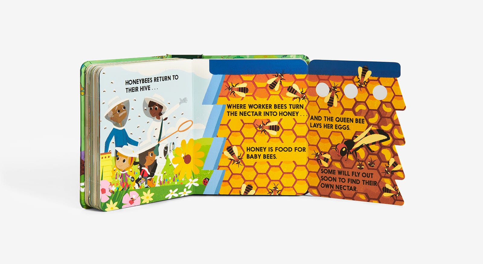 Bugblock (An Abrams Block Book) Abrams Lil Tulips