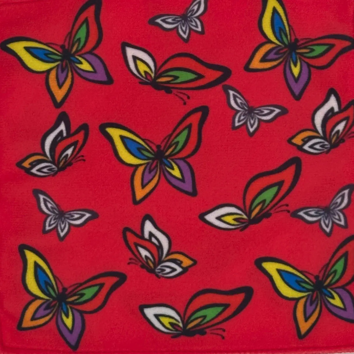 Butterflies Baby Paper Baby Paper Lil Tulips
