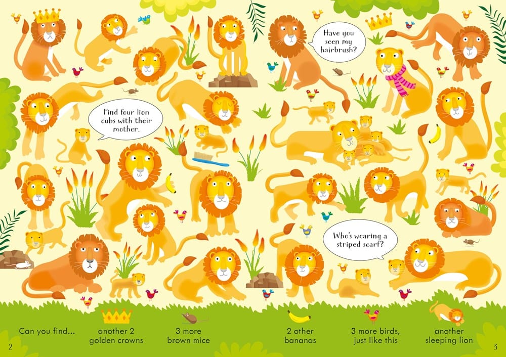 Can You Spot? Animals Harper Collins Childrens Lil Tulips