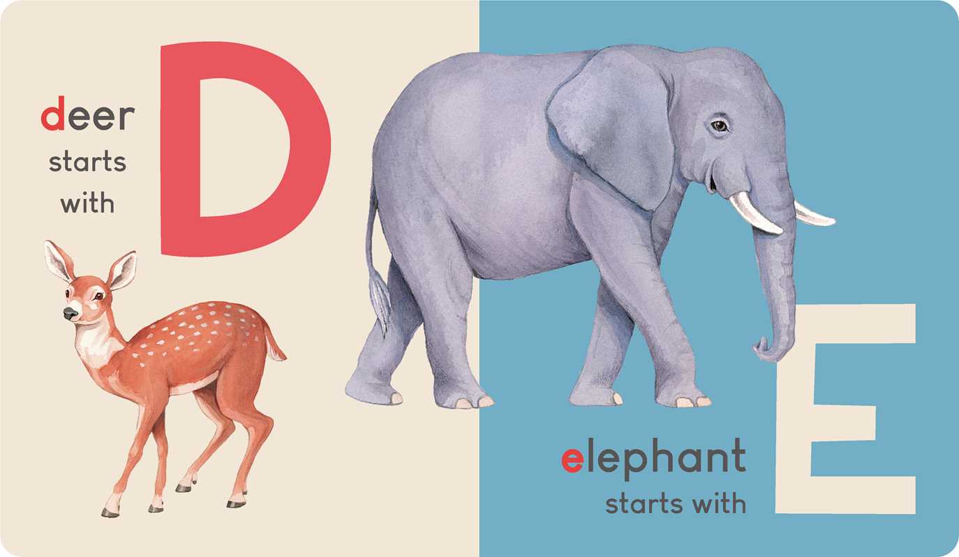 Carry Me: Animal Alphabet Simon & Schuster Books Lil Tulips