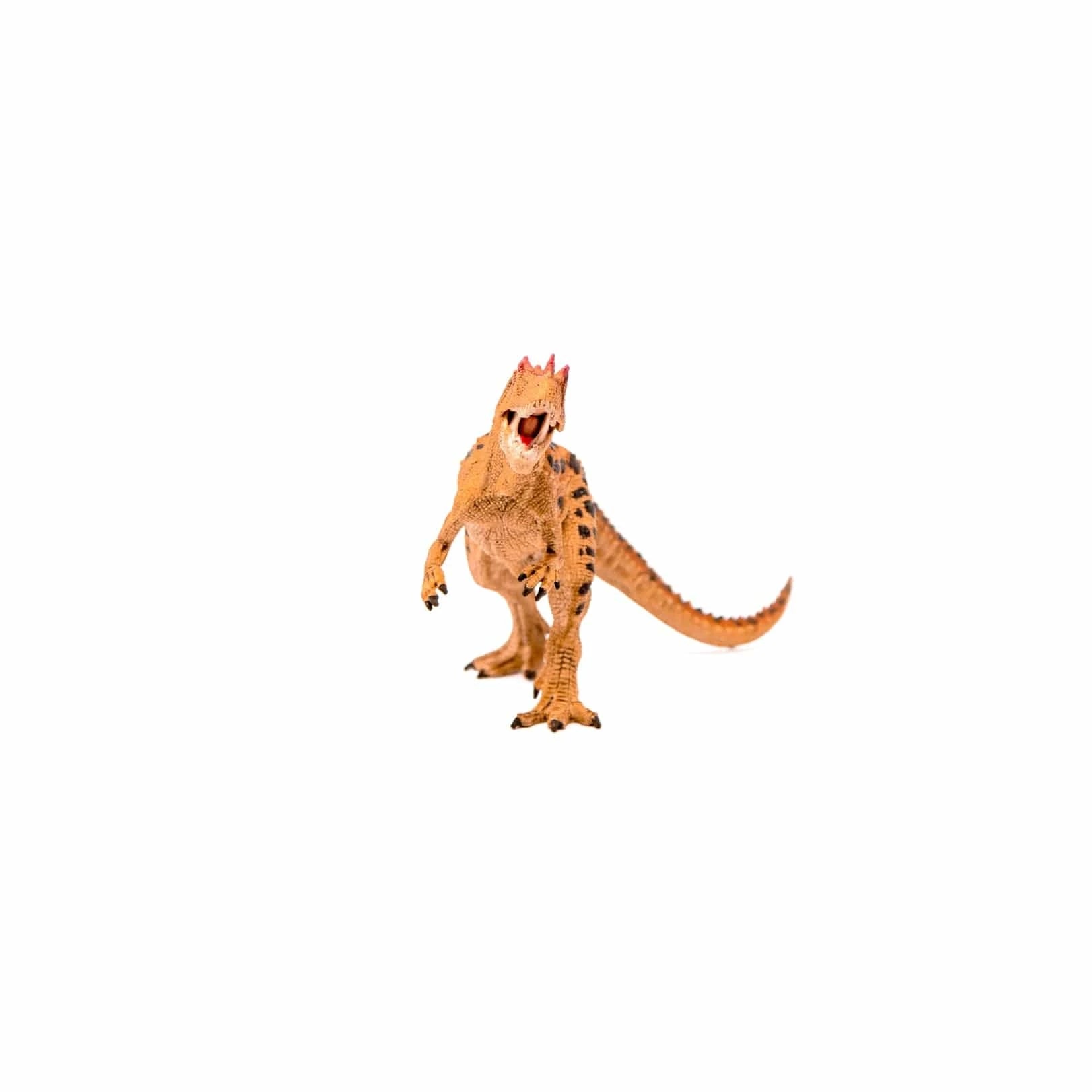 Ceratosaurus Realistic Dinosaur Toy with Movable Jaw Schleich Lil Tulips