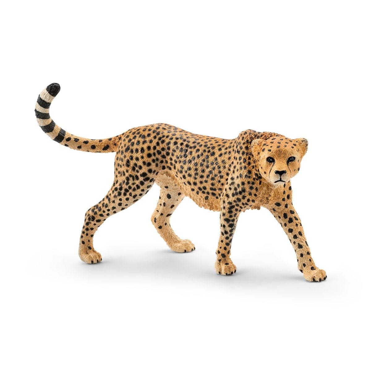 Cheetah Female Safari Animal Toy Schleich Lil Tulips