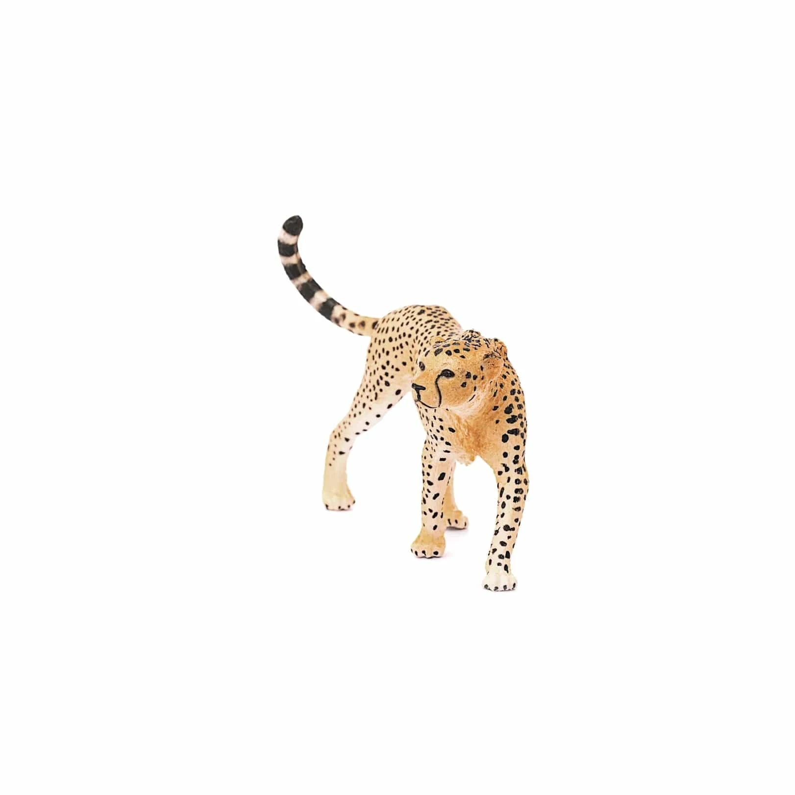 Cheetah Female Safari Animal Toy Schleich Lil Tulips