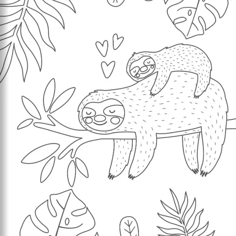 Coloring Book - Amazing Animals Wellspring Lil Tulips