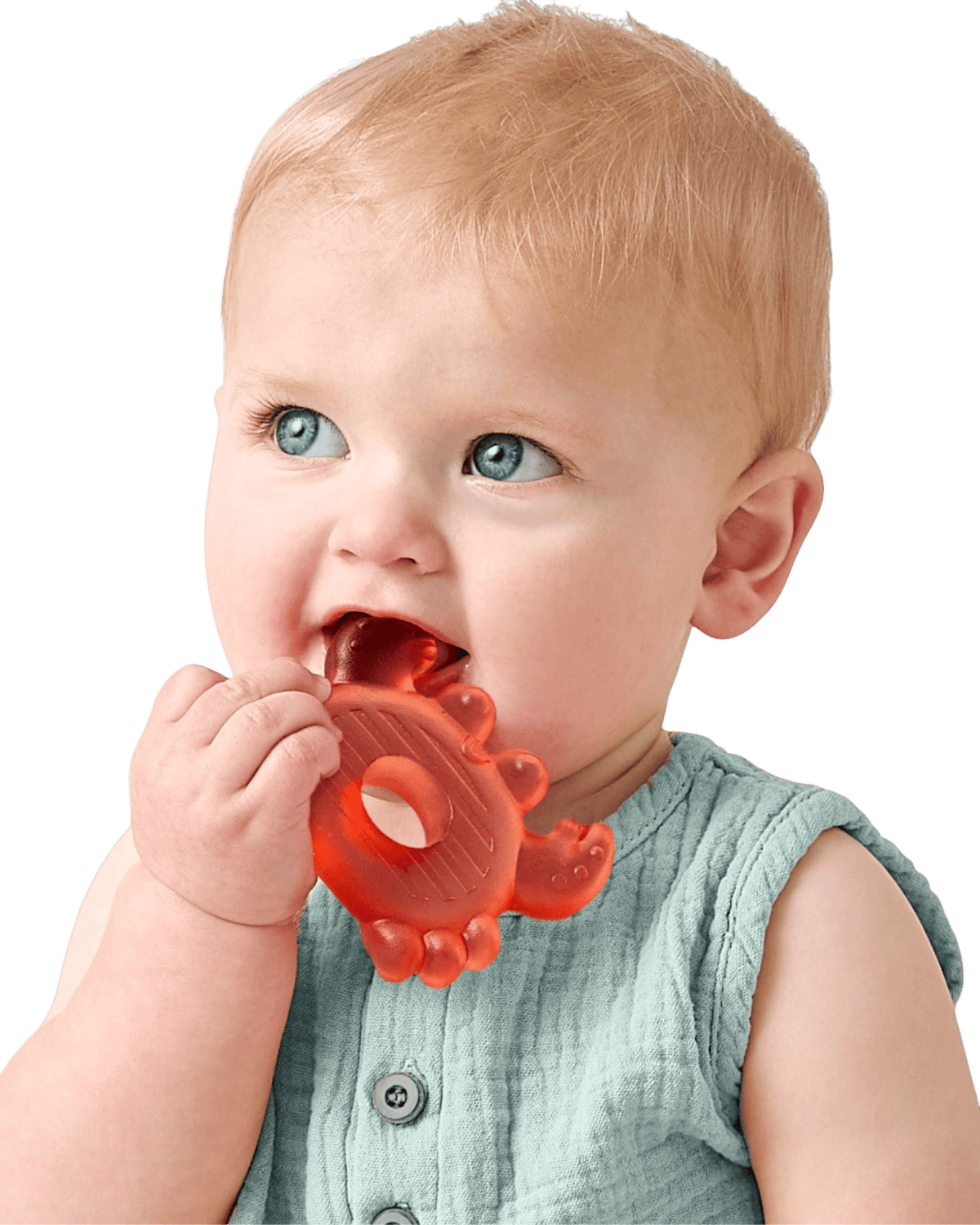 Cutie Coolers Water-Filled Teethers – Nautical Itzy Ritzy Lil Tulips