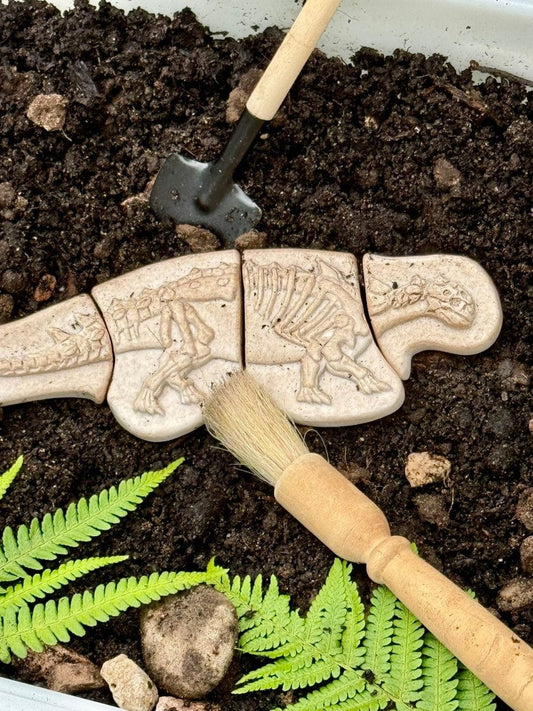 Dig and Discover - Ankylosaurus &  Tyrannosaurus Rex Yellow Door US LLC Lil Tulips