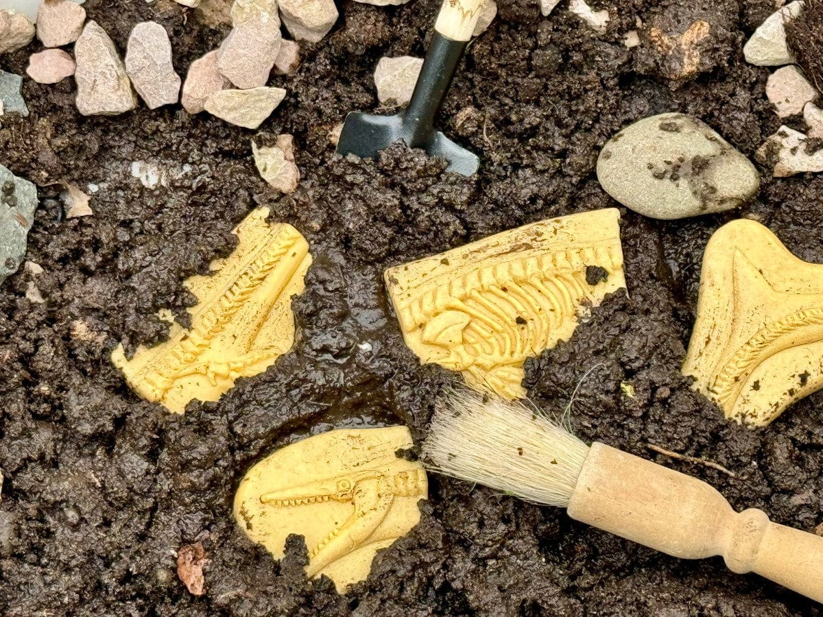 Dig and Discover – Pliosaur & Stegosaurus Yellow Door US LLC Lil Tulips