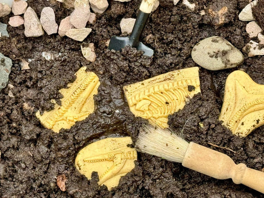 Dig and Discover – Pliosaur & Stegosaurus Yellow Door US LLC Lil Tulips