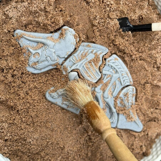 Dig and Discover - Triceratops & Spinosaurus Yellow Door US LLC Lil Tulips