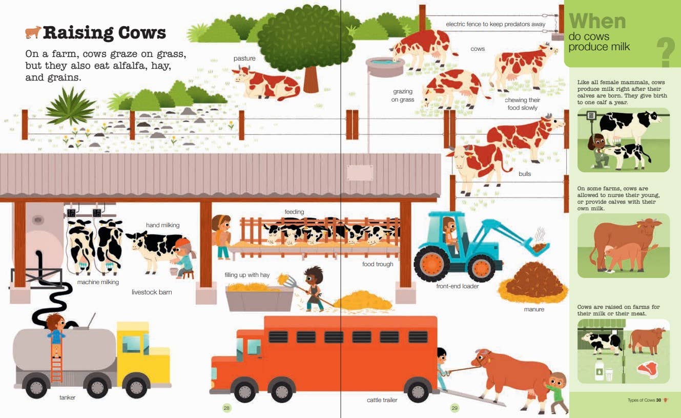 Do You Know?: Farm Animals, Work, and Life Chronicle Books Lil Tulips