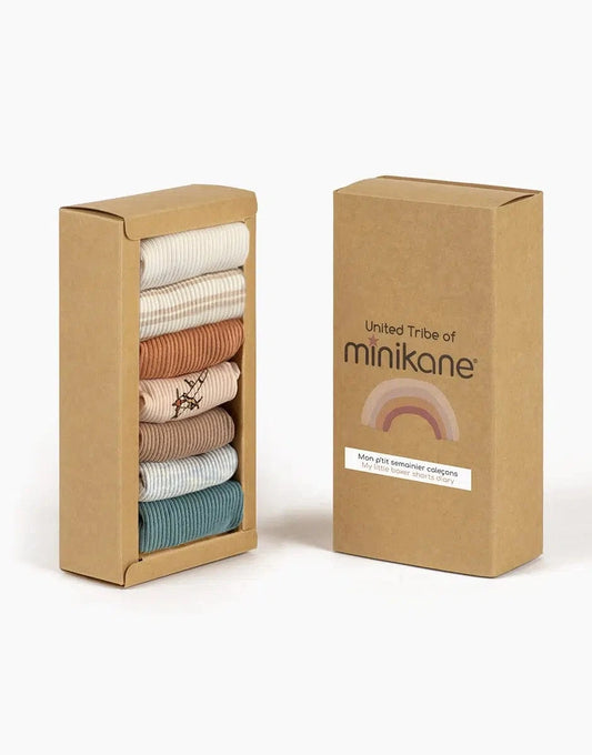 Doll Clothing Little Planes Underwear Boxer Weekly Minikane Dolls Lil Tulips