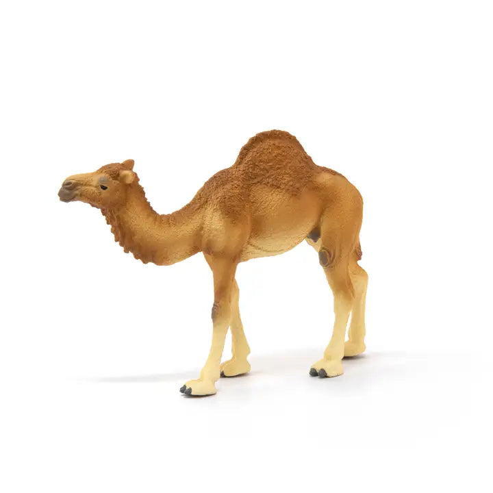 Dromedary Animal Toy Schleich Lil Tulips