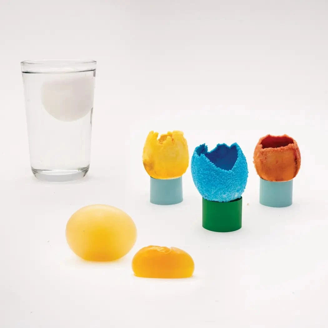 Eggsperiments Egg Dying Experiment Science Kit for Kids KiwiCo, Inc. Lil Tulips