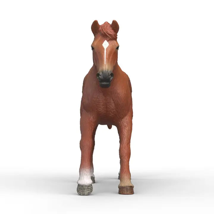 English Thorougbred Stallion Animal Toy Schleich Lil Tulips