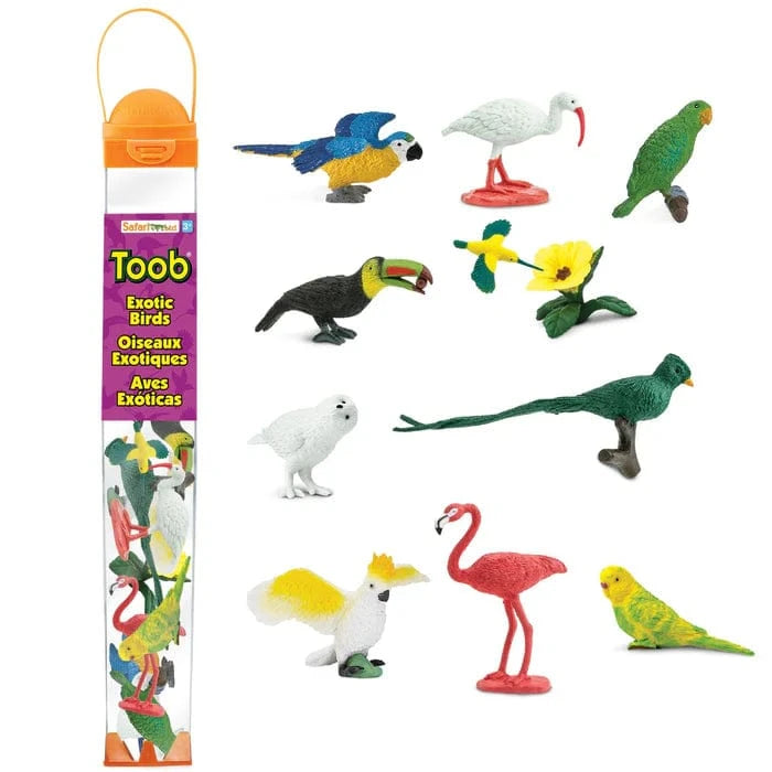 Exotic Birds TOOB Safari Ltd Lil Tulips