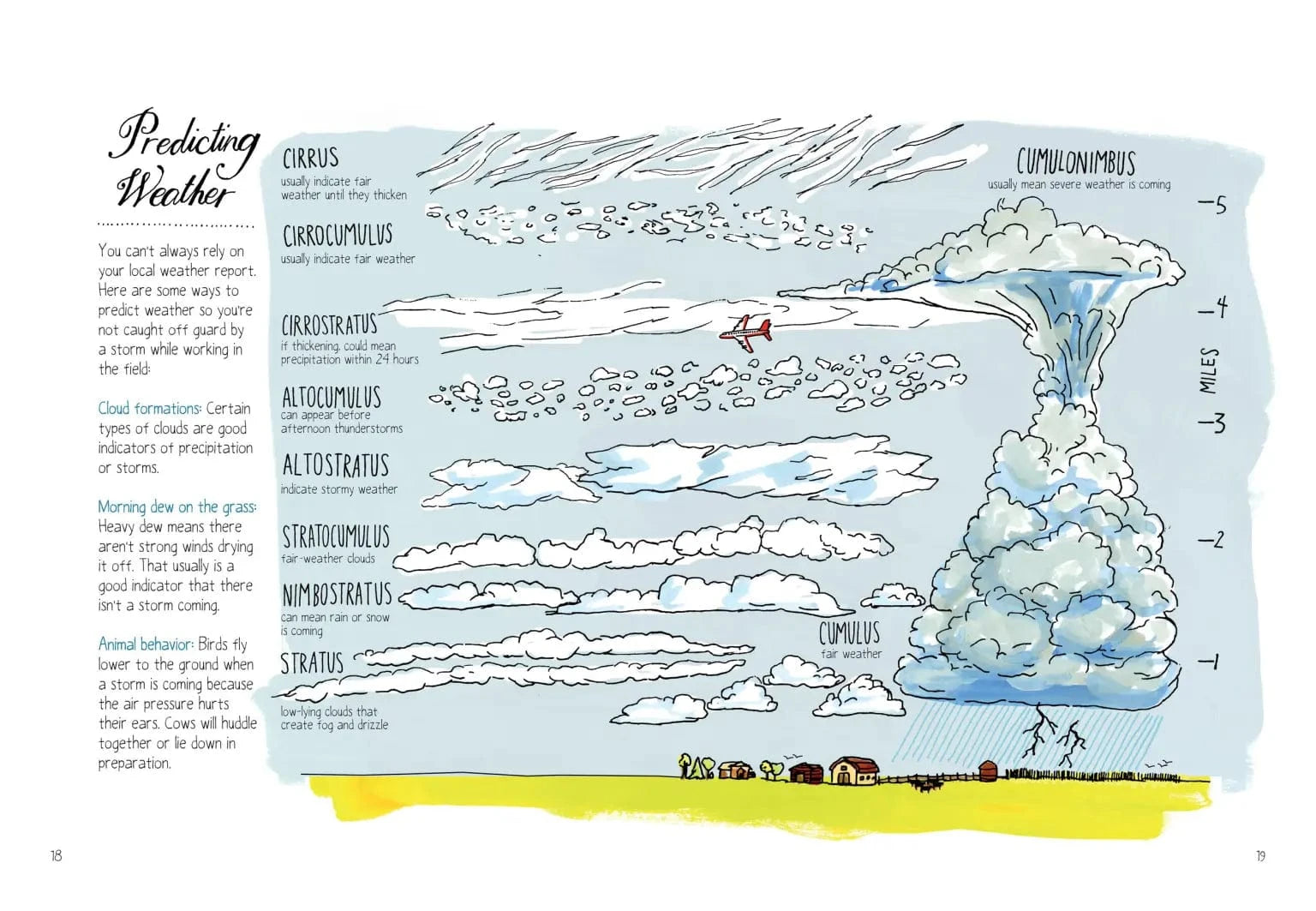 Farm Anatomy Book Hachette Lil Tulips
