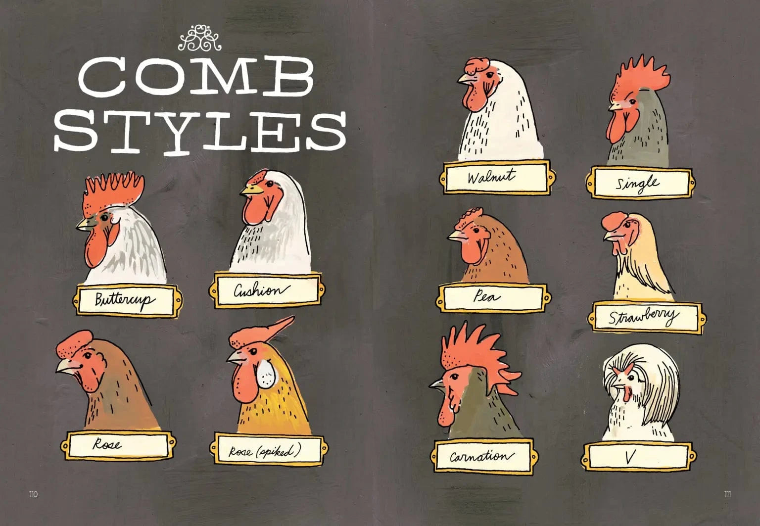 Farm Anatomy Book Hachette Lil Tulips