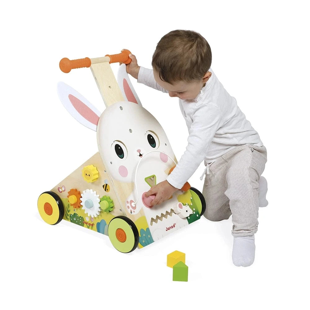 Farm Multi-Activity Baby Walker Janod Lil Tulips