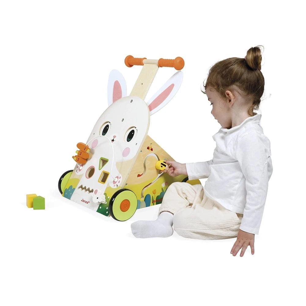 Farm Multi-Activity Baby Walker Janod Lil Tulips